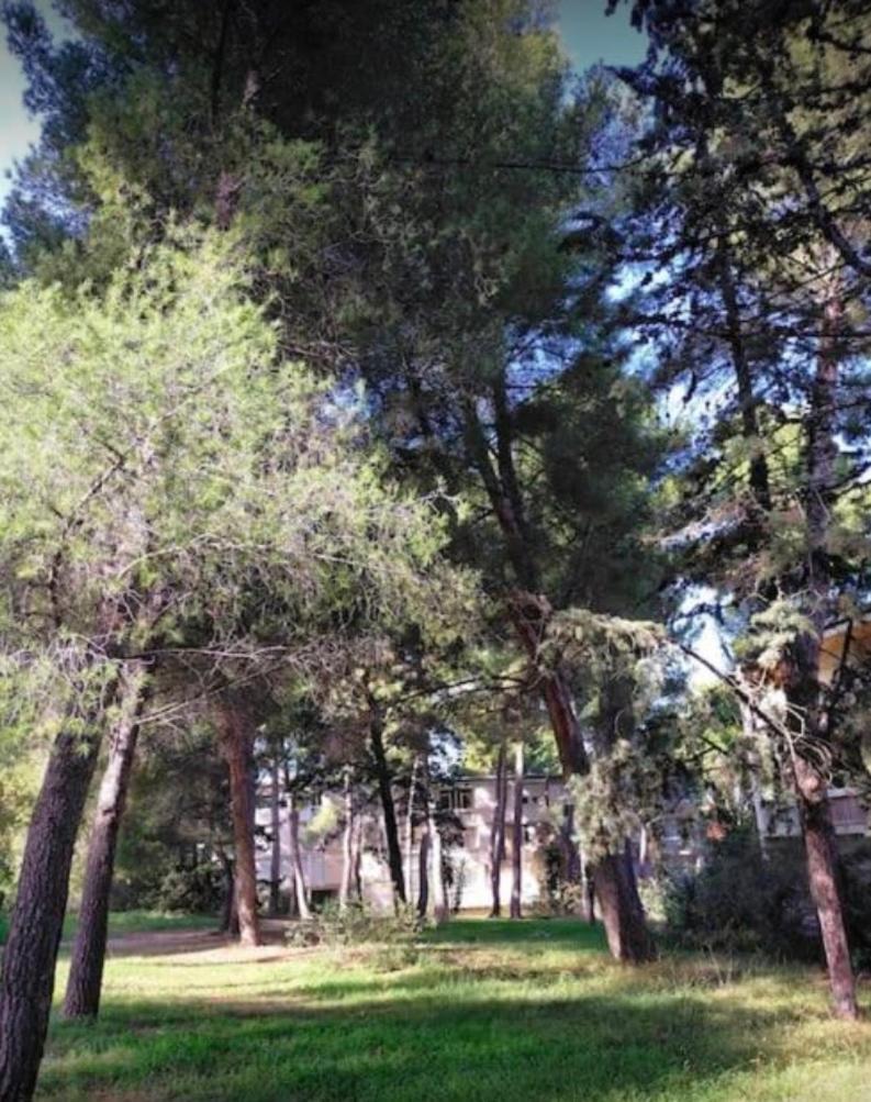 Studio Marseille Calanques Dış mekan fotoğraf